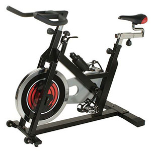 phoenix-98623-revolution-cycle-pro-ii-exercise-bike