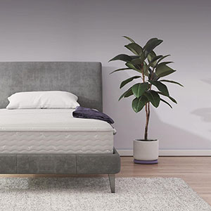 signature-sleep-contour-8-inch-mattress