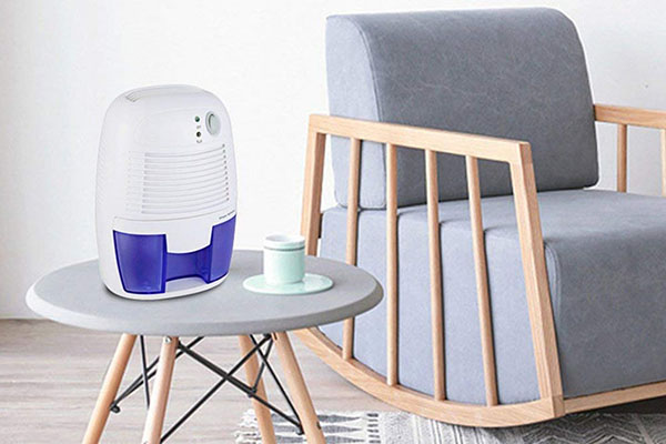 best-crawl-space-dehumidifier-review