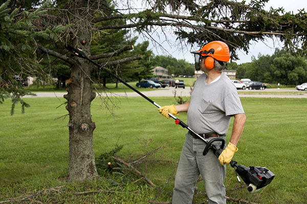 best-battery-powered-pole-saw