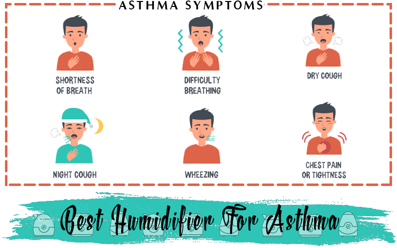 Best Humidifier for Asthma Reviews 2019