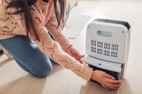 The Best Battery Operated Bathroom Dehumidifiers - August 2024