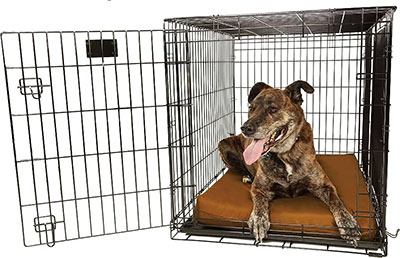 orthopedic-4″-dog-crate-pad-by-big-barker