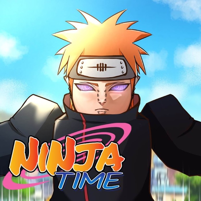 Ninja Time Codes-2